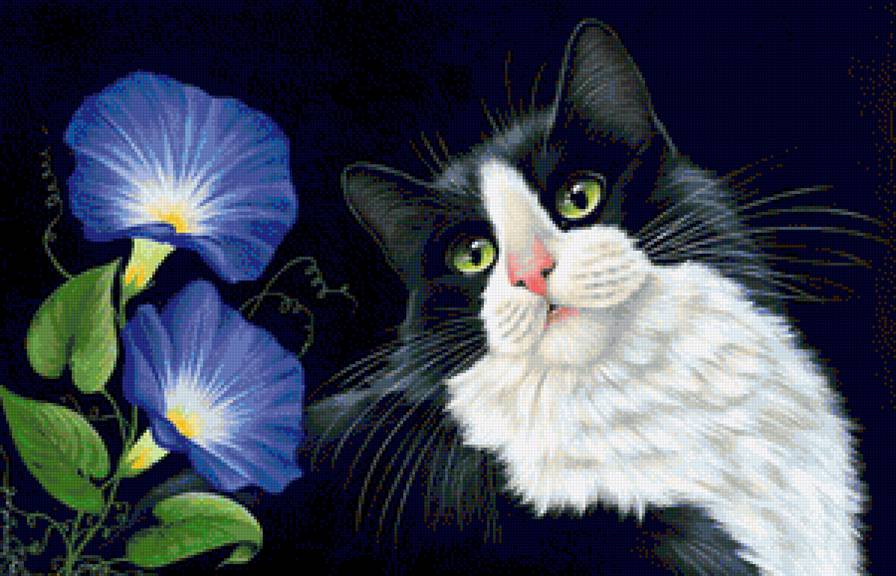 Кот и вьюнок - картина, домашние любимцы, кот, животные, вьюнок, гармашова - предпросмотр