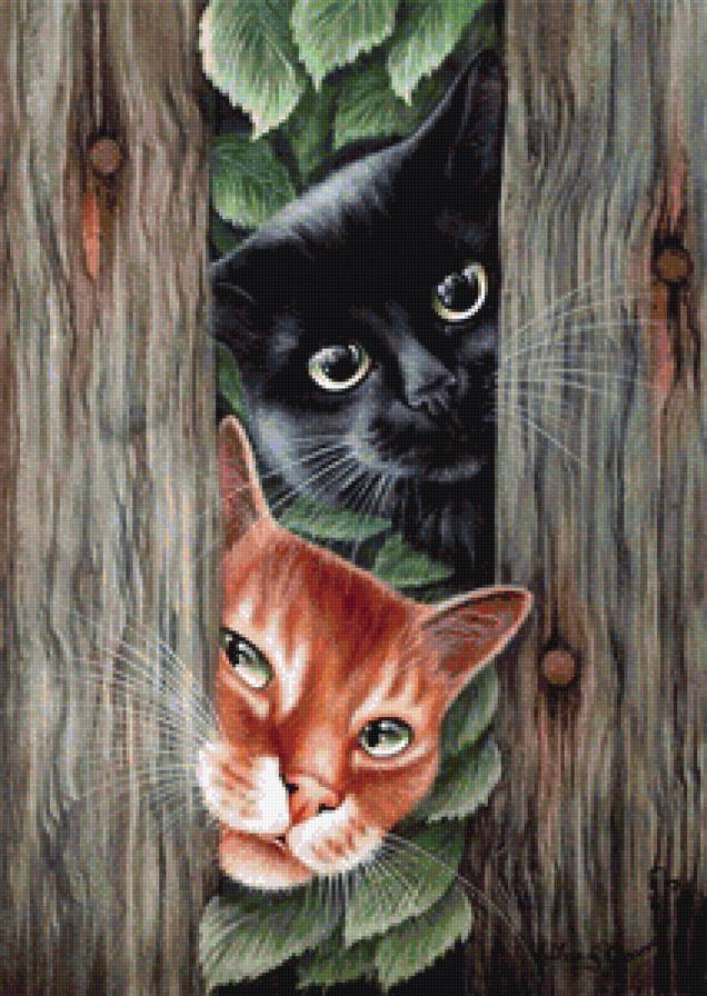 Любопытство - коты - предпросмотр