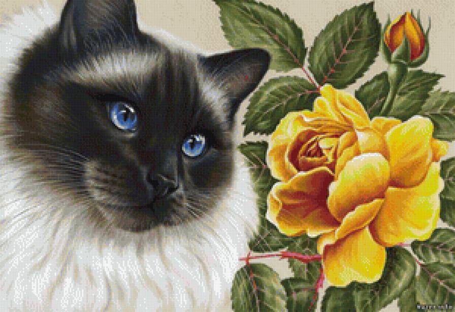 Кот и роза - гармашова, кот, роза, картина - предпросмотр