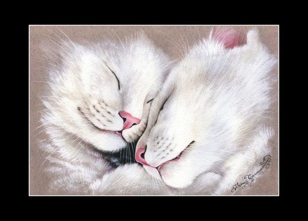 Кошачьи нежности - кошка, котенок, коты - оригинал