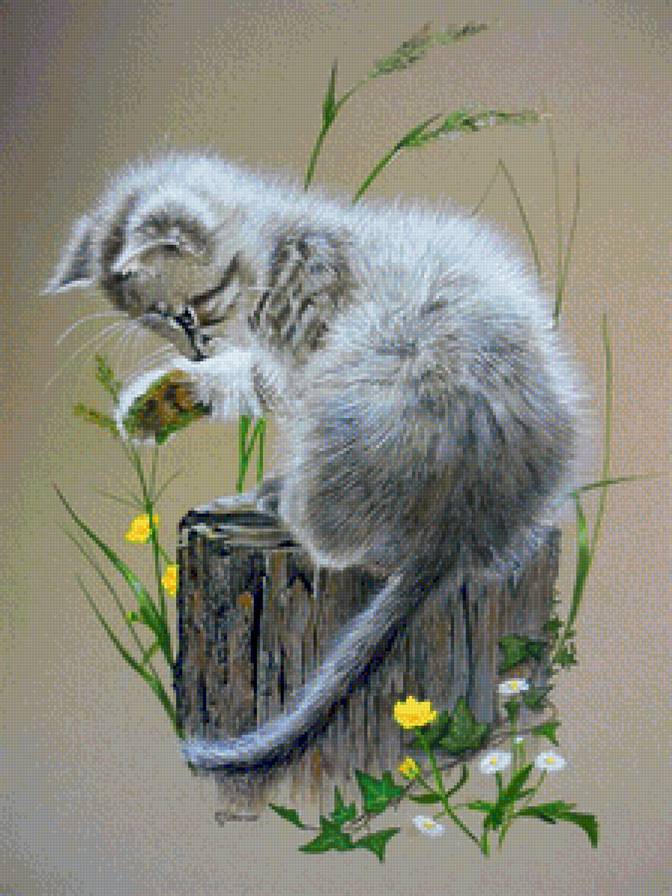 №1132664 - предпросмотр