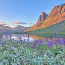 Схема вышивки «Норвегия»