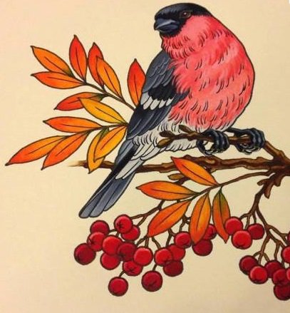 Снегирь на ветке рябины - рябина, снегирь - оригинал