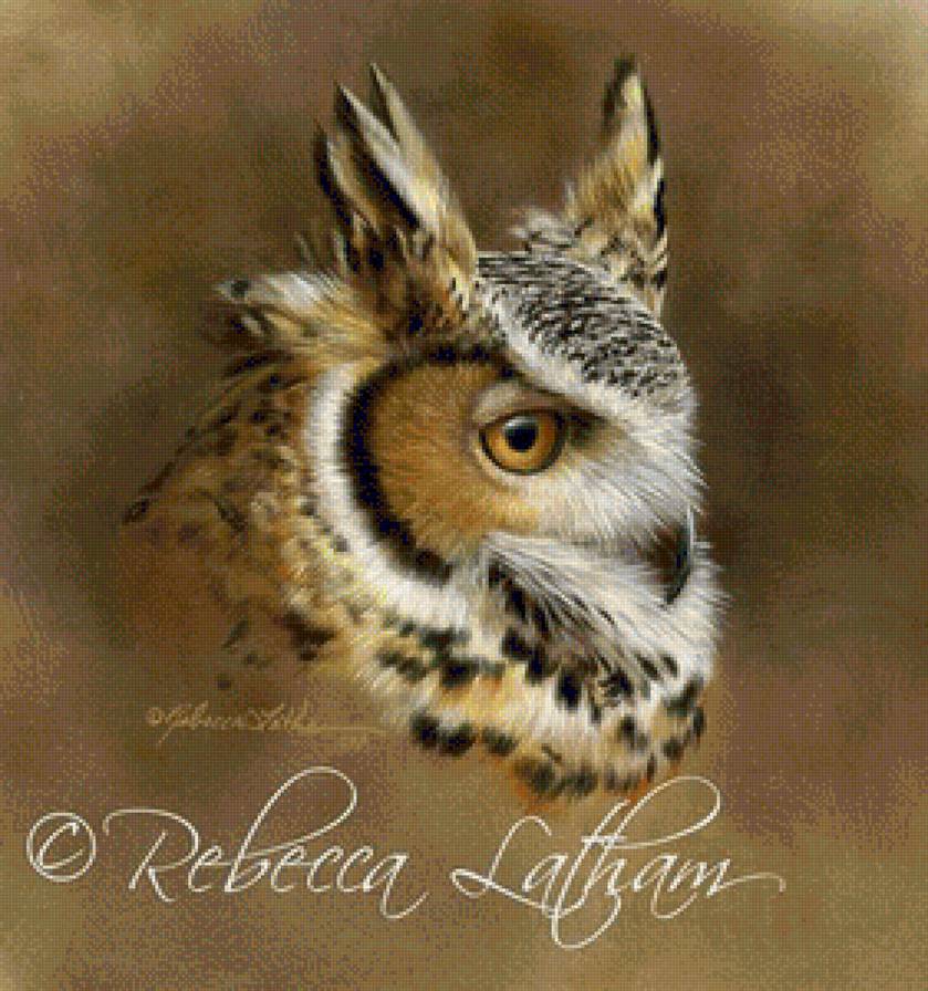 №1133041 - предпросмотр