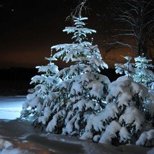 Схема вышивки «Зимний лес»