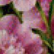 Предпросмотр схемы вышивки «Розовые пионы» (№1133361)