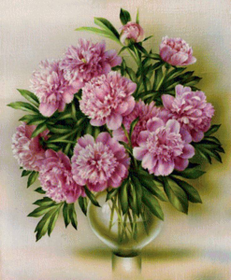 Розовые пионы - предпросмотр