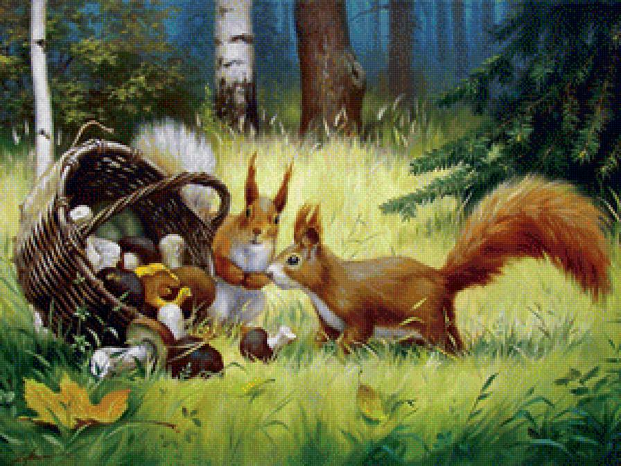 Белки на поляне - лес, белки, корзина, грибы - предпросмотр