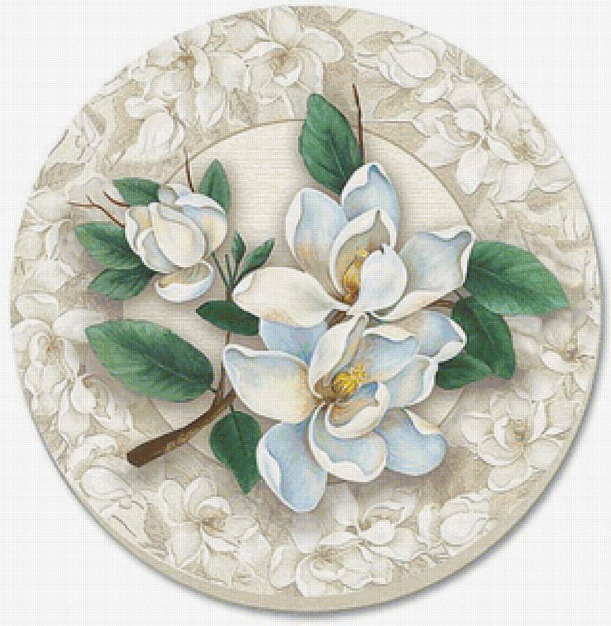 Магнолии - букеты, цветы - предпросмотр