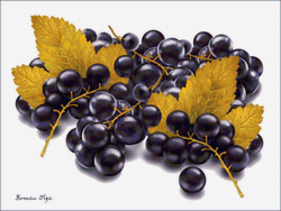 Ветки смородины - ягода, смородина - предпросмотр