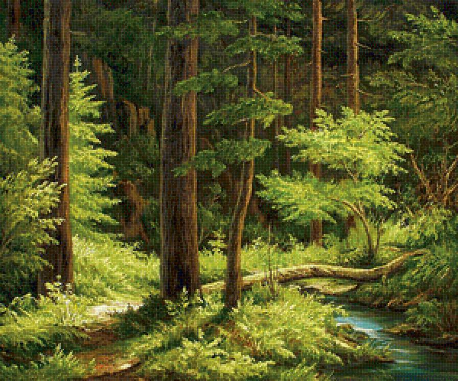 Лес - ручей, лето, лес - предпросмотр