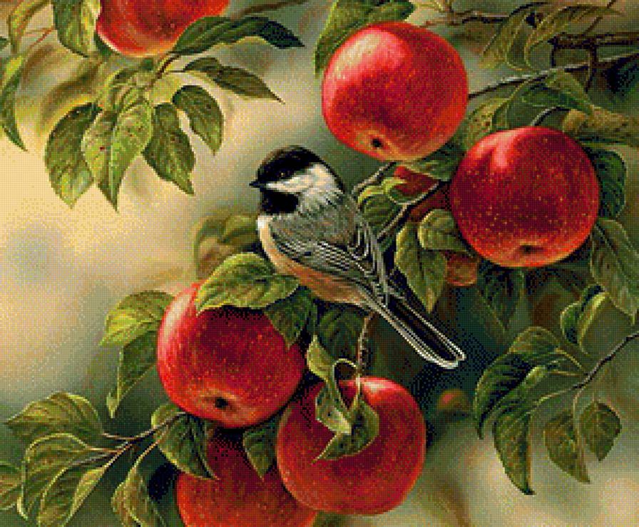 птички - птицы - предпросмотр