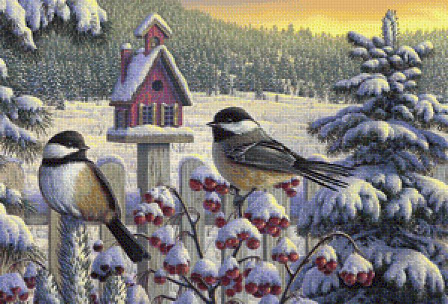 Птички - птицы - предпросмотр