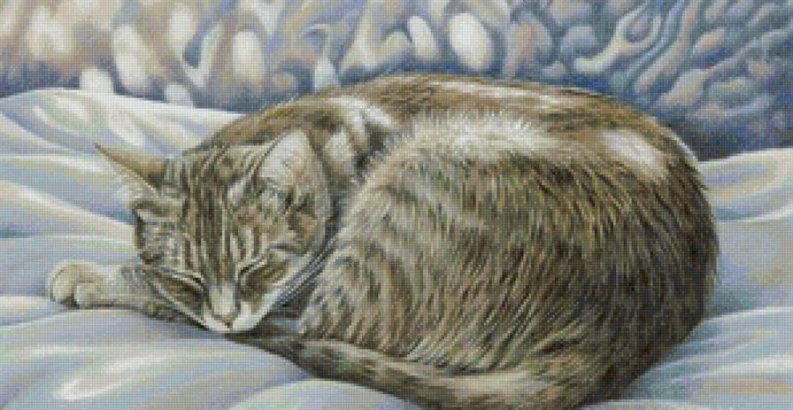 Котик - кот, коты, котенок, сон, животные - предпросмотр