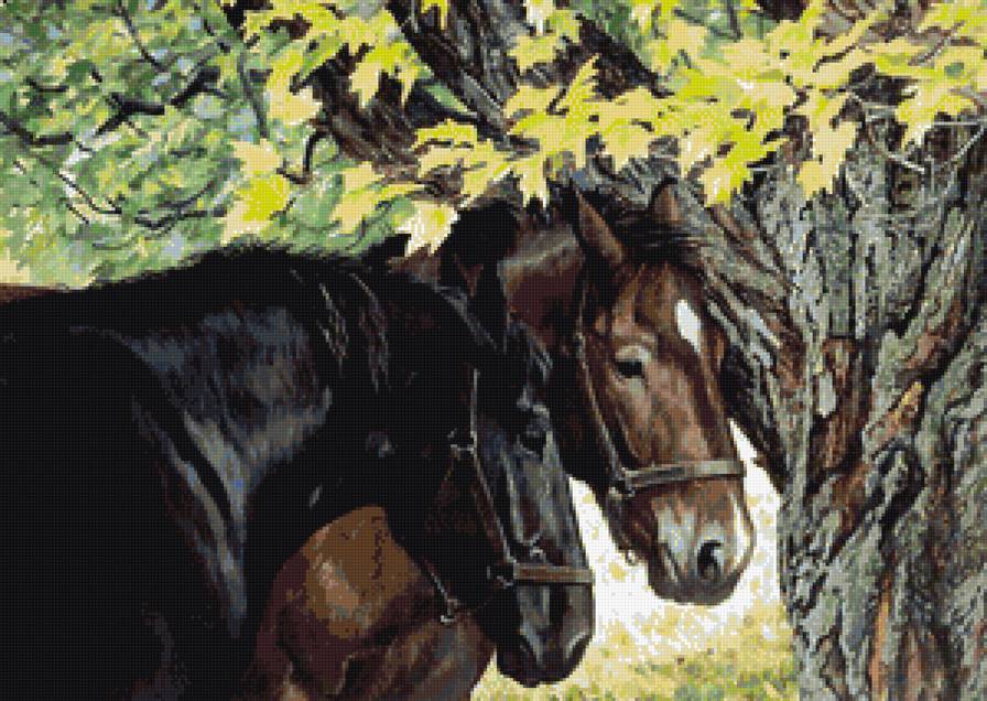 Сладкая парочка - лошади, сладкая парочка, природа, осень, кони, деревня - предпросмотр