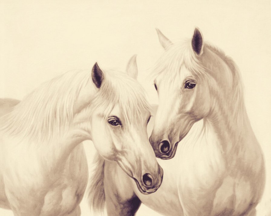 белые лошади - оригинал