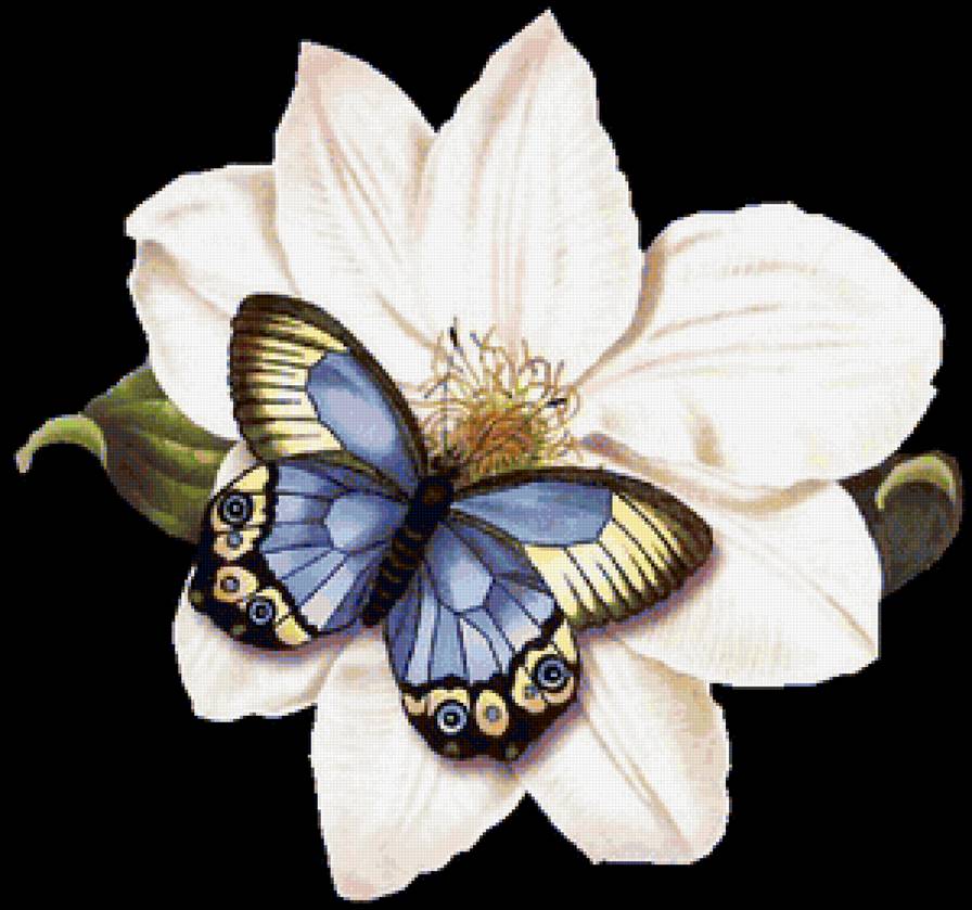 Бабочка - бабочка, цветы - предпросмотр