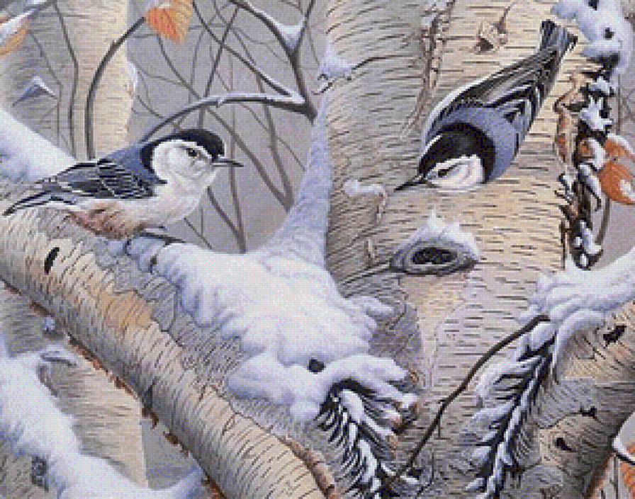 Птички - птицы - предпросмотр