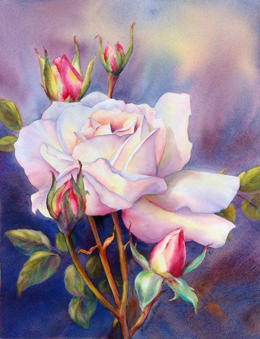 №1135270 - оригинал