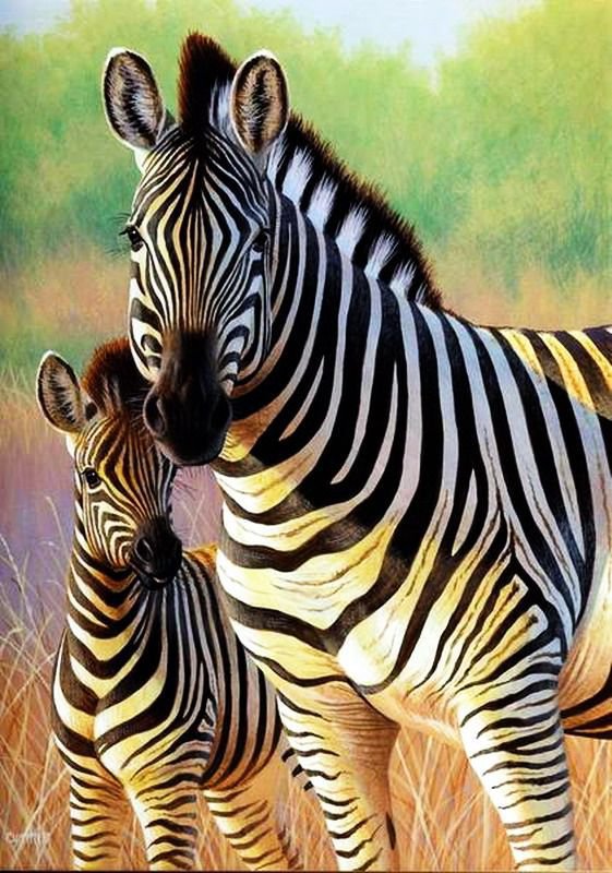 Мама и малыш - животные, зебра, мама - оригинал