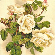 Схема вышивки «62»