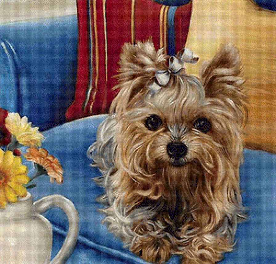 очаровашка - животные, собаки - предпросмотр