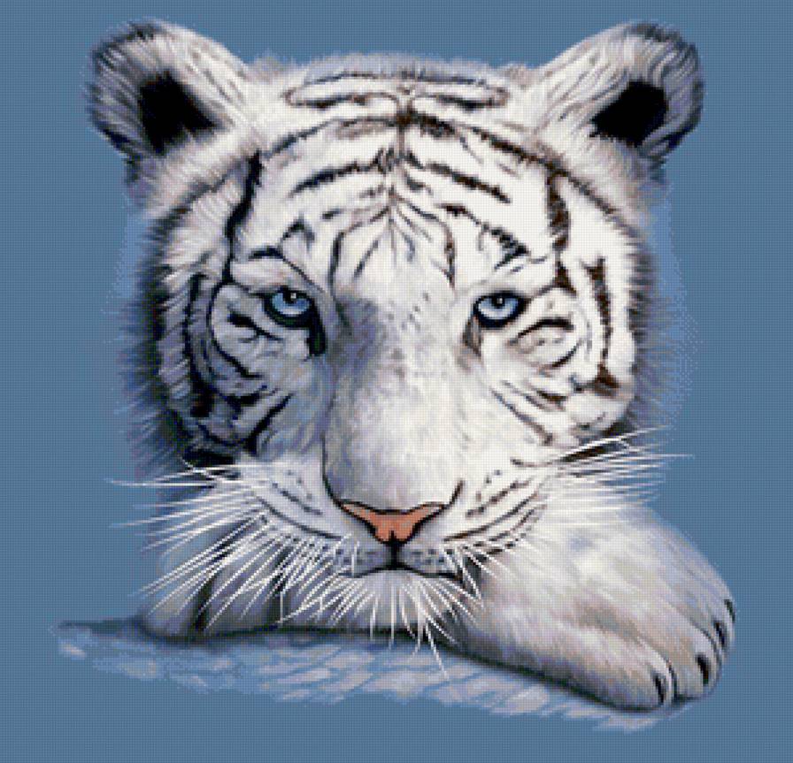 Белый тигр - хищник, тигр, животные, тигры - предпросмотр
