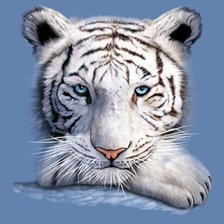 Оригинал схемы вышивки «Белый тигр» (№1135512)