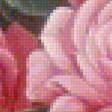 Предпросмотр схемы вышивки «Нежные розы» (№1135599)