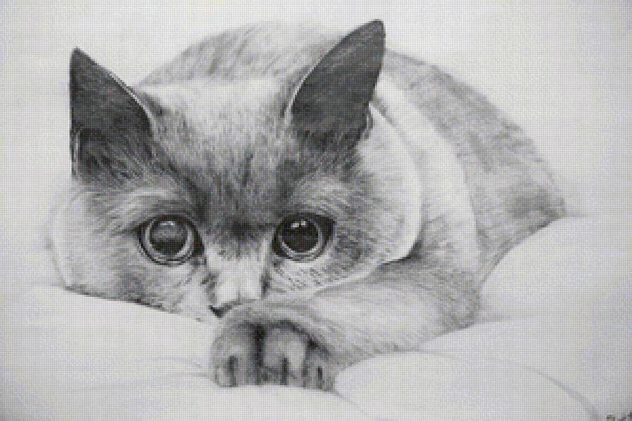 кисуля - животные, рисунок, коты - предпросмотр