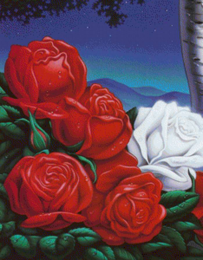 Розы - цветы, цветок, букет, роза - предпросмотр