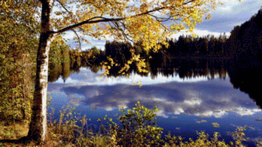 лес - лето - предпросмотр