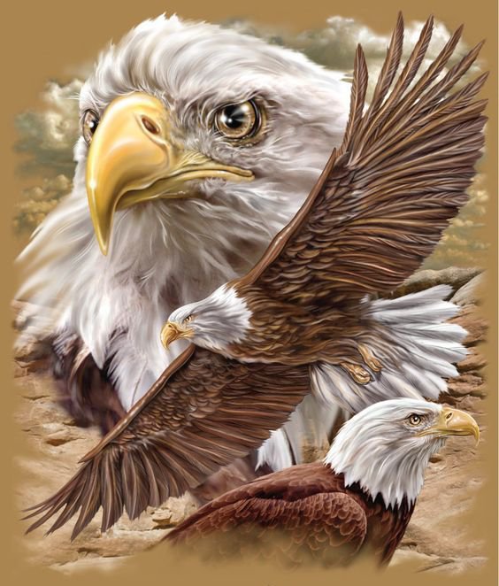 Орлы - птицы, орел - оригинал