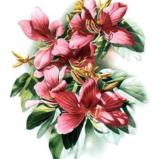 Схема вышивки «Цветы»