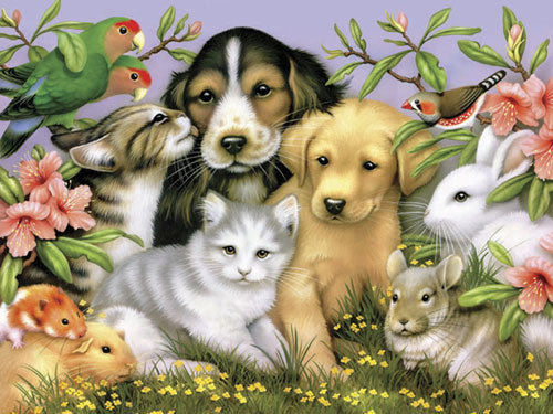 Домашние питомцы - попугай, любимцы, животные, четвероногие друзья, собаки, кошки - оригинал