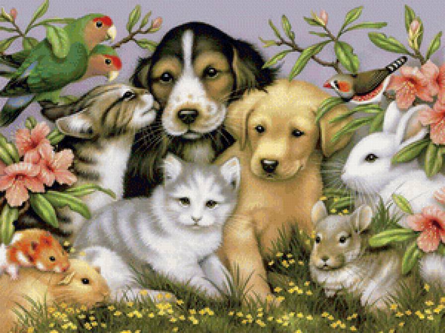 Домашние питомцы - животные, кошки, любимцы, собаки, попугай, четвероногие друзья - предпросмотр