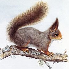 Оригинал схемы вышивки «№1136883»