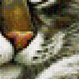 Предпросмотр схемы вышивки «Серия "Фауна"» (№1137167)