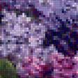 Предпросмотр схемы вышивки «Сирень» (№1137370)