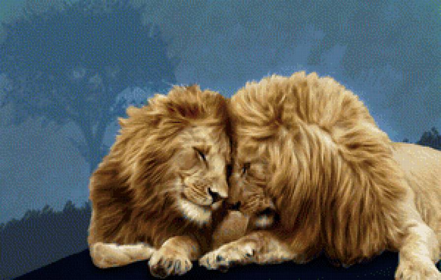 №1137599 - животные.львы - предпросмотр