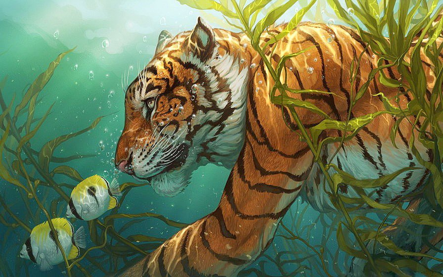 тигр плывет - рыбки, водоросли, тигр - оригинал