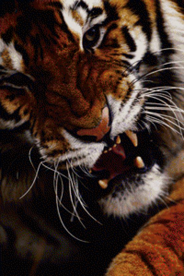 Настроение - тигр, гнев, рычание, рычание тигра - предпросмотр