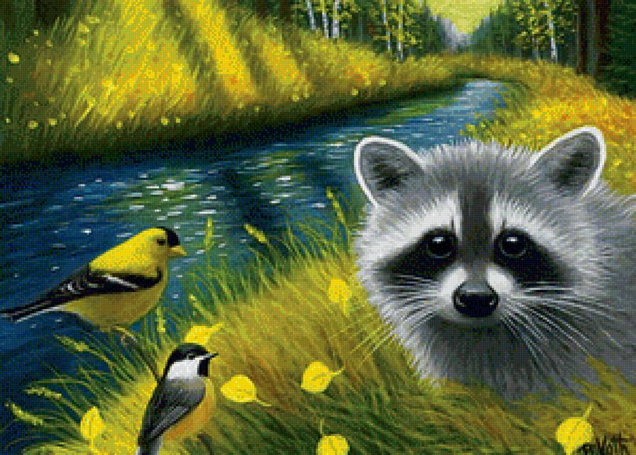 Енотик - животные - предпросмотр