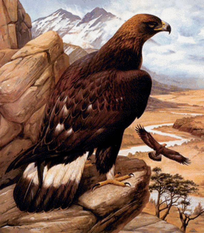 Повелитель степей - птицы - предпросмотр