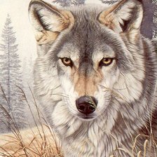Оригинал схемы вышивки «Волк» (№1138224)