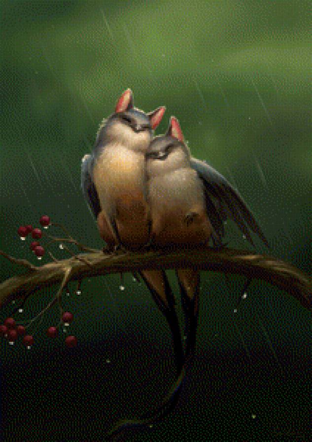 Птахи - фэнтези, птицы, природа, дождь, любовь - предпросмотр