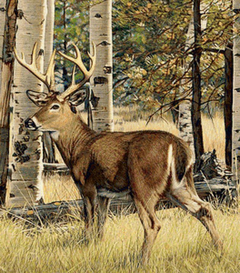 66 - предпросмотр