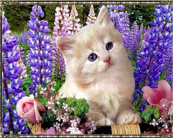 №1138728 - оригинал