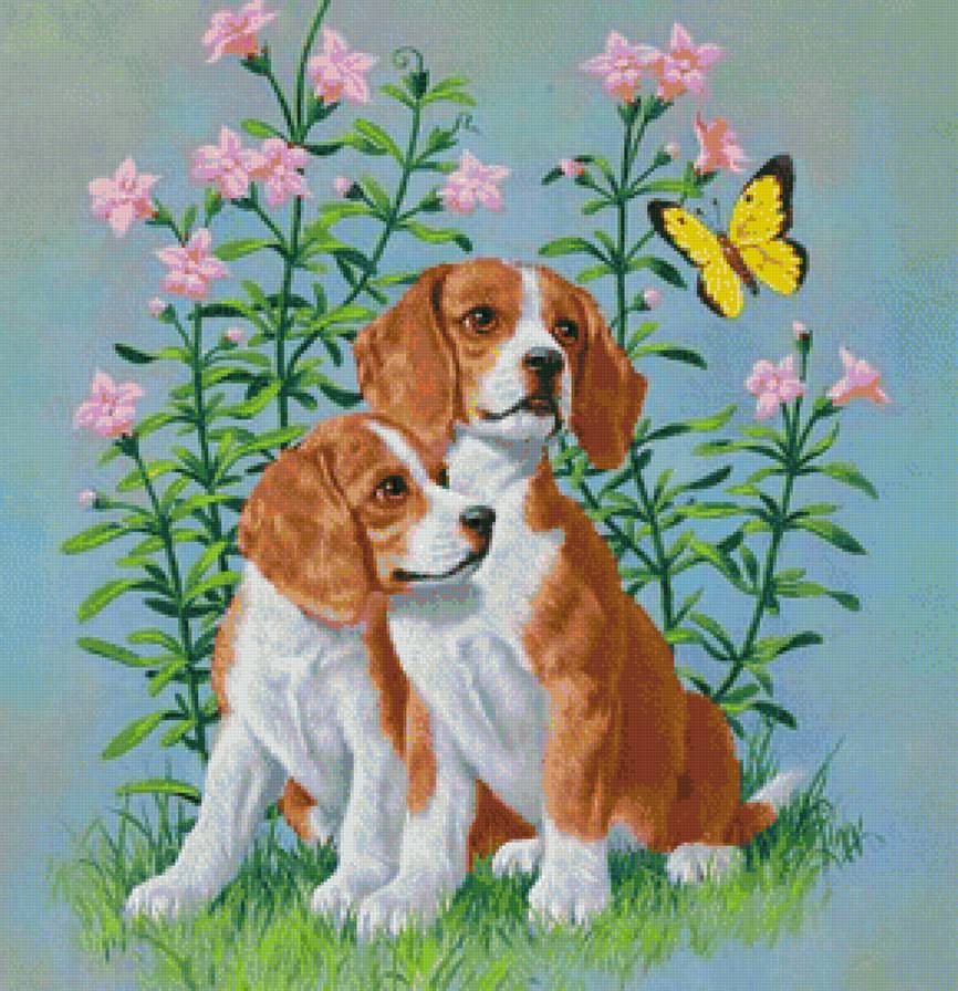 №1138950 - бабочка, собаки, цветы, друзья - предпросмотр