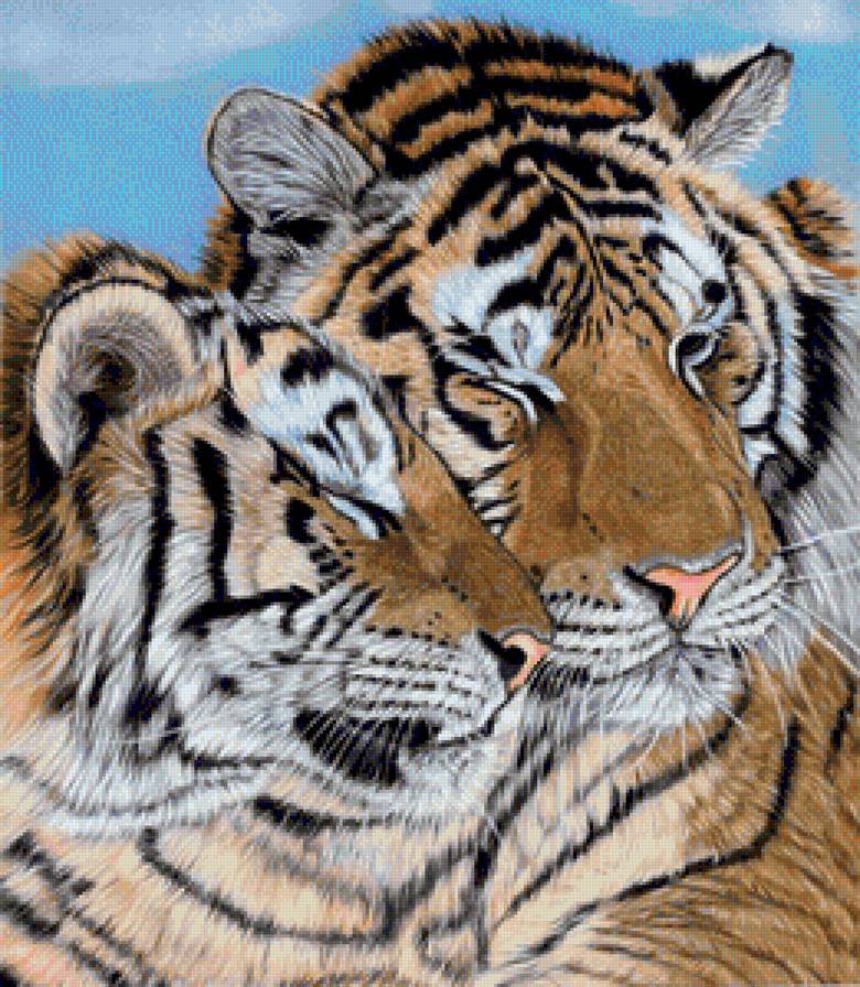 Love - дикие кошки, тигр, животные - предпросмотр